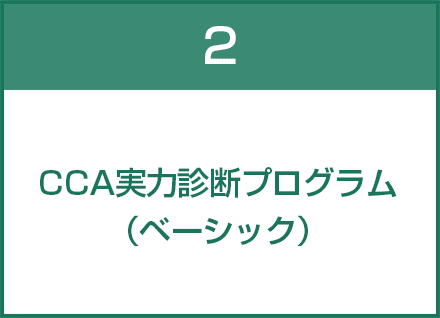 CCA実力診断プログラム（ベーシック）